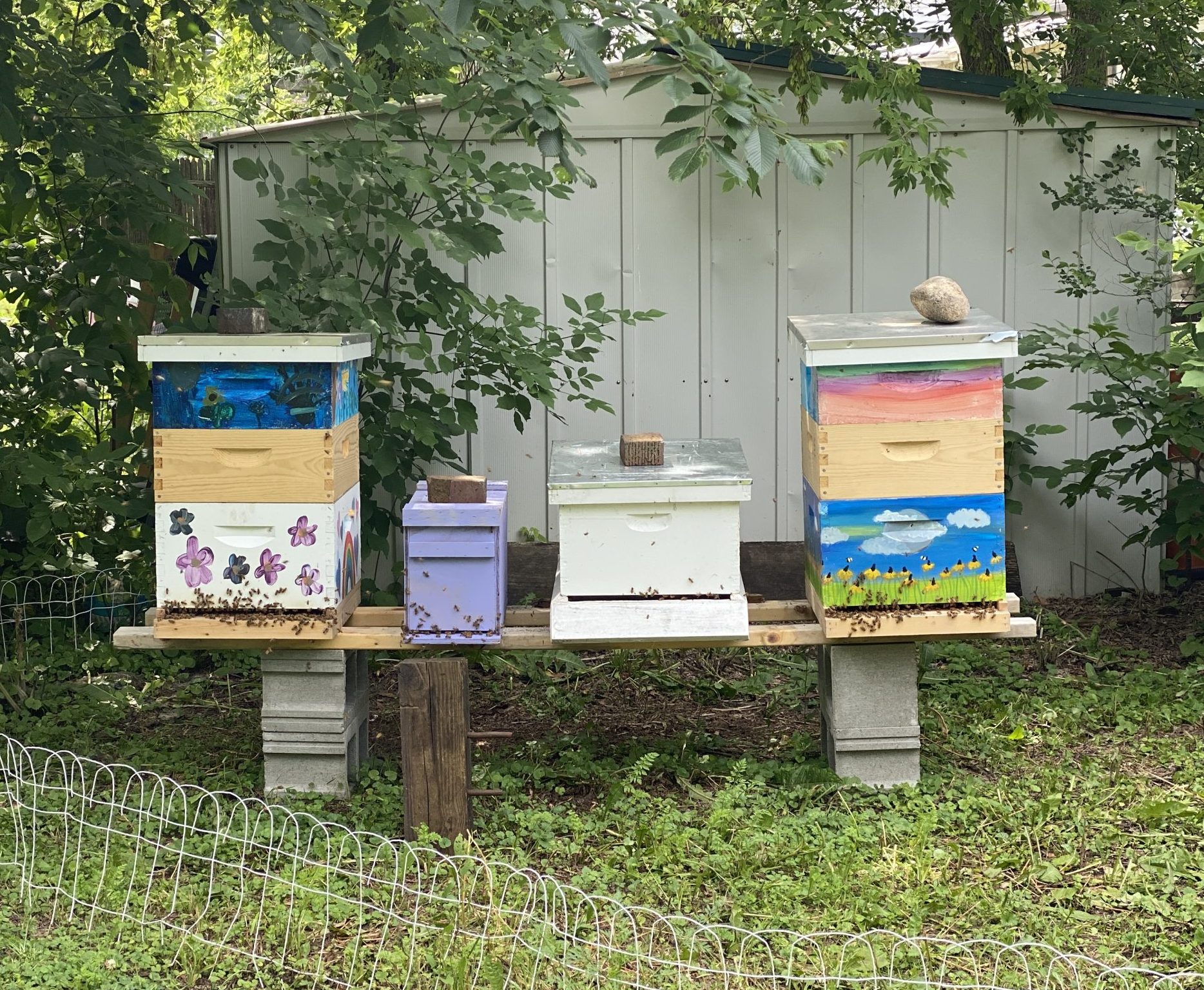 North Prairie Hives